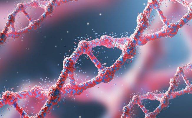Global Congress on Advanced Stem Cell Research & Innovation